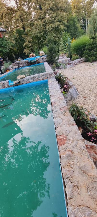 Guest House Mala Prica Zivinice Екстер'єр фото